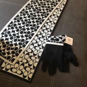 Coach Knit Scarf/Glove Set